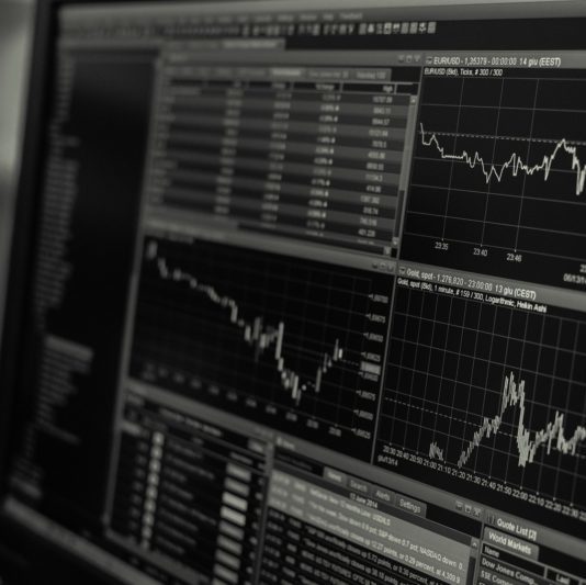 Abertura do Mercado. Paula Zogbi, Rico