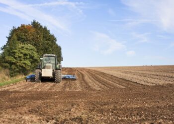 Como escolher um bom Fiagro para investir? Veja 5 dicas para ajudar você nessa decisão