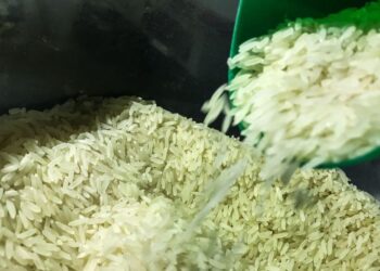 Governo Federal zera tarifa de importação de arroz para garantir abastecimento